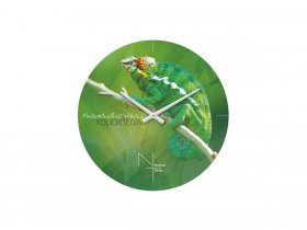 Часы настенные Nicole Time NT503 в Барабинске - barabinsk.mebel-nsk.ru | фото